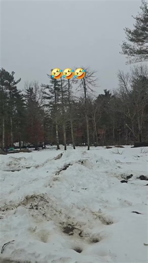 mi amor cito (@papi9520)’s videos with sonido original - San mateo 🧉🐟