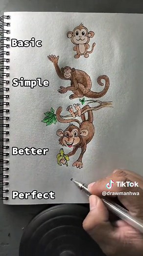Drawing Stages: Basic, Simple, and Perfect Monkeys