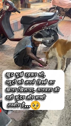 खुद भूखा रहकर गरीब भाई ने 🐶 Pluto को खिलाया खाना 😢 | इंसानियत की सच्ची मिसाल