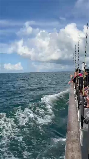 8.6K views · 266 reactions | COME RIDE THE FISHMONSTER MAX WITH FISHMONSTER........ #KEYWESTPARTYBOAT | FishMonster Key West | Facebook