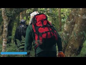 Backpack vs Handbag for Women The Ultimate Style & Comfort Showdown