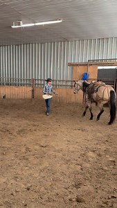 Day two with the little buckskin gelding! He’s really starting to free up and move a lot nicer. He caught on a lot quicker and was able to think through things a lot better today. Go check out yesterday’s video for day one and come back tomorrow for day three! #coltstarting #horsetraining #daytwo #secondride #albertacowboy | Primrose Horsemanship