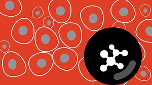 5.9K views · 56 reactions | With more than 160 years under our belt,...