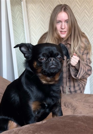 Funny Dog Moments in the #Lalalala Challenge