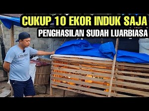 SUKSES TERNAK AYAM KAMPUNG SKALA RUMAHAN💯