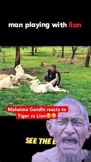 Mahatma Gandhi reacts to Man vs Leopard🐯🧔‍♂️ #lion #trending #cheetah #animalattack