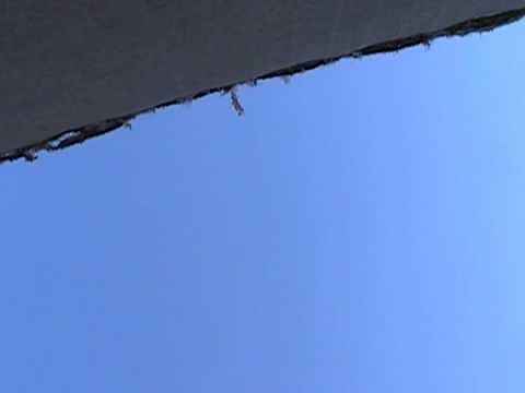 What a bullet sounds like