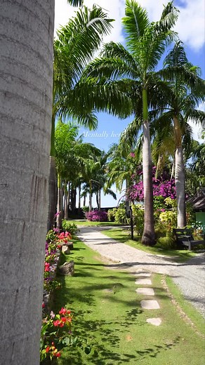 592 reactions · 12 comments | The most relaxing, beautiful immersive experience awaits at Cocos Hotel Antigua  ️ Link in bio | COCOS Hotel Antigua | Facebook