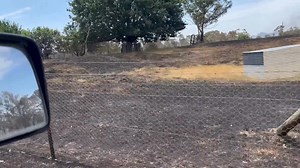 Gunyah Animal Healing Sanctuary Inc. on Reels