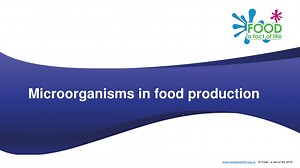 Fascinating World of Microorganisms in Food Production - SlideServe