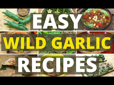 Top 11 Easy Wild Garlic Recipes