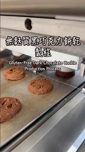 餅乾工廠：無麩質黑巧克力餅乾製程 #巧克力 #biscuit #cookies #glutenfree #chocolate #chocolatefactory