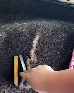 4.8K views | This MIRACLE tool gives new life to your prized possessions! It pulls out hair that even a vacuum misses - guaranteed, and it works on all fabrics! Get it now on Amazon! | Uproot Clean | Facebook