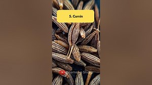 10 Most popular Indian Spices and Herbs spices shorts