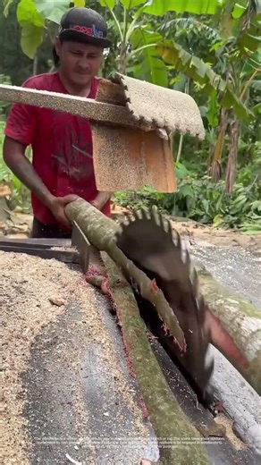 Tree Cutting and Processing with a Circular Saw: A Glimpse into Woodworking