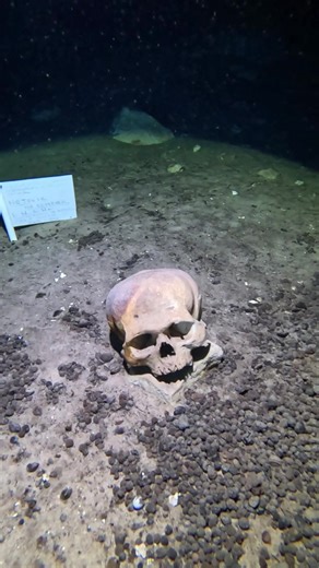 #yucatan #yucatan #yucatan #yucatanmexico #buceocenote #cenote #espeleobuceo #espeleobuceo #buceocenote #cuevas #cenotesmexico #craneos #TikTok #merida #buceo #buceo de cueva #vamosabucear #inah #restosmayas #mayas #vasijasmaya #viral