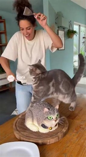 Is it real or is it cake? 🍰👀 #realisticcake #hyperrealisticcake