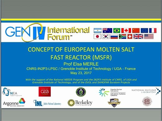 Webinar Series #9: Molten Salt Reactors-MSR
