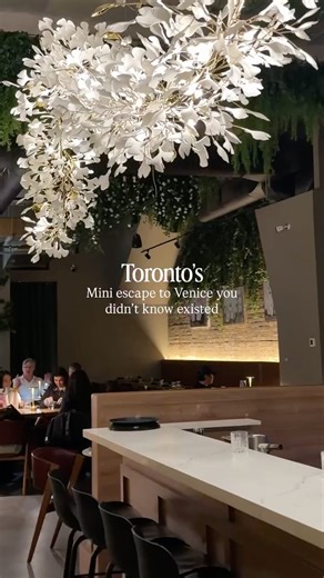 Kate | Toronto on Instagram: "The next best thing if you can’t book a flight to Europe…🪿✨ Decorated with white florals and cascading greenery, @barfilo.toronto is Toronto’s newest fine dining restaurant specializing in Italian cuisine 🍝 Located in the financial district, you can enjoy live performances every Saturday 🎻🕯️ On weekdays from 11 am to 2 pm, they offer a $35 prix fixe menu 🥩 📍Bar Filo | 146 Yonge St [Toronto restaurant, Toronto food, Toronto eats, Toronto fine dining, Toronto It