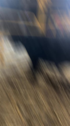 Knaack show cattle (@knaack.farms)’s videos with Santa Monica - Everclear