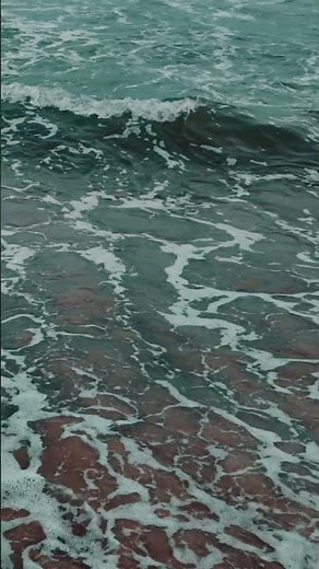 Free HD Beach Background Video Ocean Waves Stock Footage #shorts #waves #beachwaves