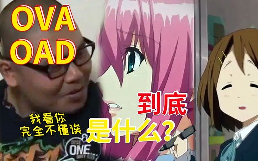 那些满含福利的OVA ONA OAD你真的都清楚吗？【次元图鉴12】