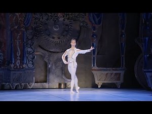 Nutcracker Prince Variation - Michal Krcmar