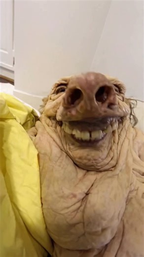 DA POD GOD on Instagram: "peepaw didn’t take his meds #dapodtok"