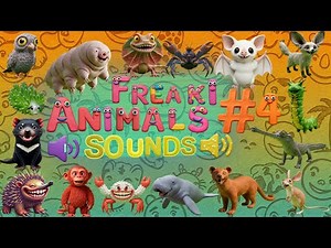 Funny & Freaky Animal Sounds Song 4 | Zoo Animals From 1 to 16 🐾 | The 16 Wacky Creatures 🦄🐙