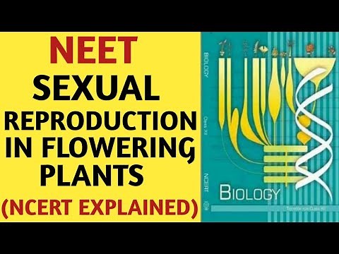 Sexual Reproduction In Flowering Plants /Class 12/NCERT/Chapter 02/Quick Revision Series/NEET/AIIMS