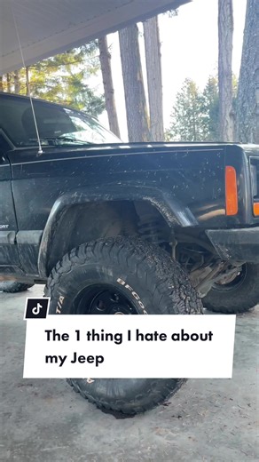 The Constant Struggle: Keeping My Jeep Clean