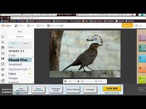 Using PicMonkey to Label Your Photo