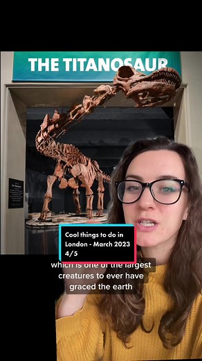 Discover the Titans: Titanosaur Exhibition at NHM London