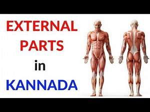 Parts of the Body in Kannada - External Parts - Learn Kannada