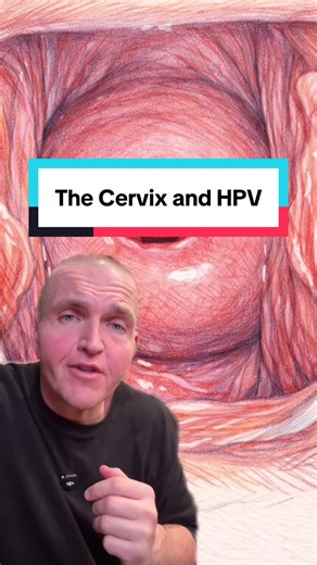 Understanding the Cervix and Its Role in Cervical Cancer