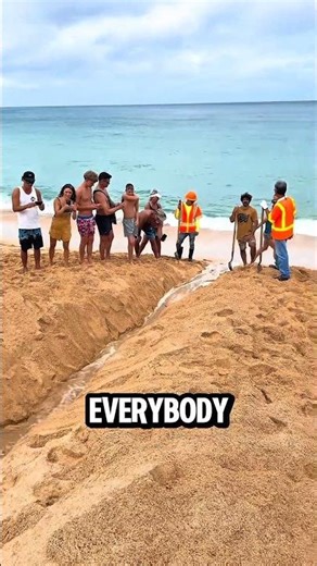 This Is What Happens When a River Breaks Into the 🌊 #shorts #viral #ocean #river