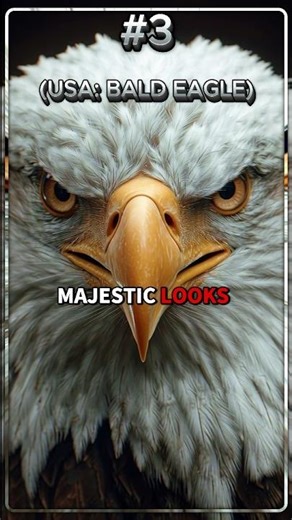 What Animals Represent YOUR Country? 🌏🤔 | Part 1