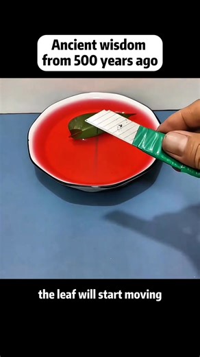 3K views · 14 reactions | The wisdom of ancient people from 500 years ago can still solve problems in our daily lives today #lifehacks #lifetips #hacks #tips #diy #TrendingInUSA #usareels #factshorts #viralshorts #shortsvideos #factsyoudidntknow #facts #amazingfacts #amazingvideo #Amazing | Knowledge Central | Facebook