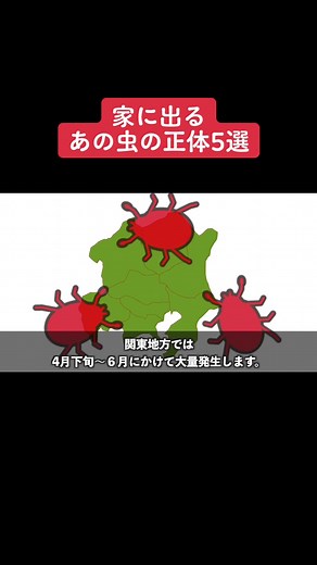 家に出るアノムシの正体五選