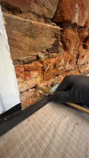 195K views · 408 reactions | Do I Need A Damp Proof Course? 樂 If you think you may have rising damp, you can book a free survey with a fully qualified surveyor on our website  #weatherwise #damp #dampproofing #dampproofer #work #business | Weather Wise | Facebook