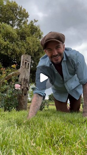 David Beckham on Instagram: "Thanks for the advice 🌷 who knew 😂"