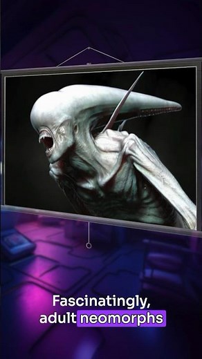 The Neomorph Life Cycle Explained #alien #xenomorph #aliens #speculativebiology