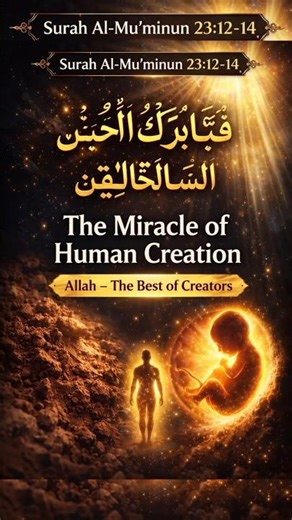 How Allah Created You? 💫 #quran #shortsfeed#surahmuminoon#quranshorts#islamicreminder#islamicshorts