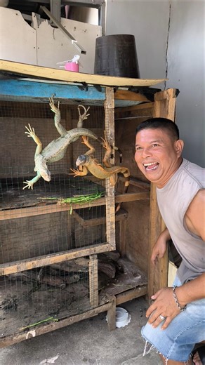 Open the door #shorts #comedy #funny #subscribe