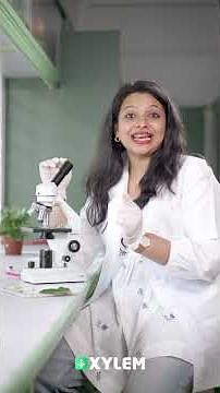 മൈക്രോസ്കോപ്പിലൂടെ Plant & Animal Cell കാണാം! 🔬 | Biology Lab