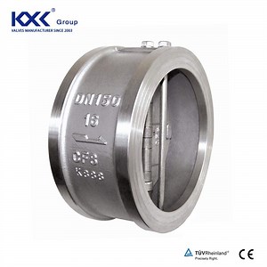 [Hot Item] 4" DN100 Pn16 Pn25 Wafer Dual Plate Check Valve with Stainless Steel 304 Body Disc Stem and Swing Check Valve