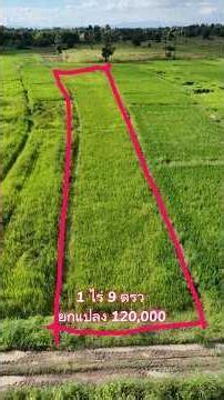 ที่ดิน 409 ตรว ขายยกแปลง 120,000 อำเภอแม่ทะ ลำปาง โทร/ไลน์ 089-125-0774