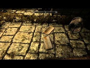 Skyrim: Riften Hidden Chest and Do Not Delete Box