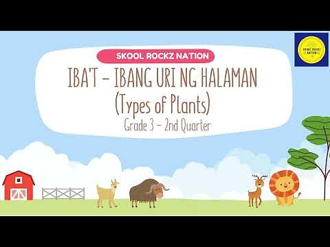 SCIENCE GRADE 3: Mga Uri ng Halaman