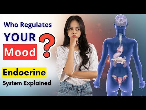 Who Regulates Your Mood? Endocrine System Explained #EndocrineSystem #Hormones #Wellness #Tired
